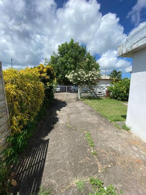 Maison Authentique A 300M De La Plage Sainte-Anne Zewnętrze zdjęcie